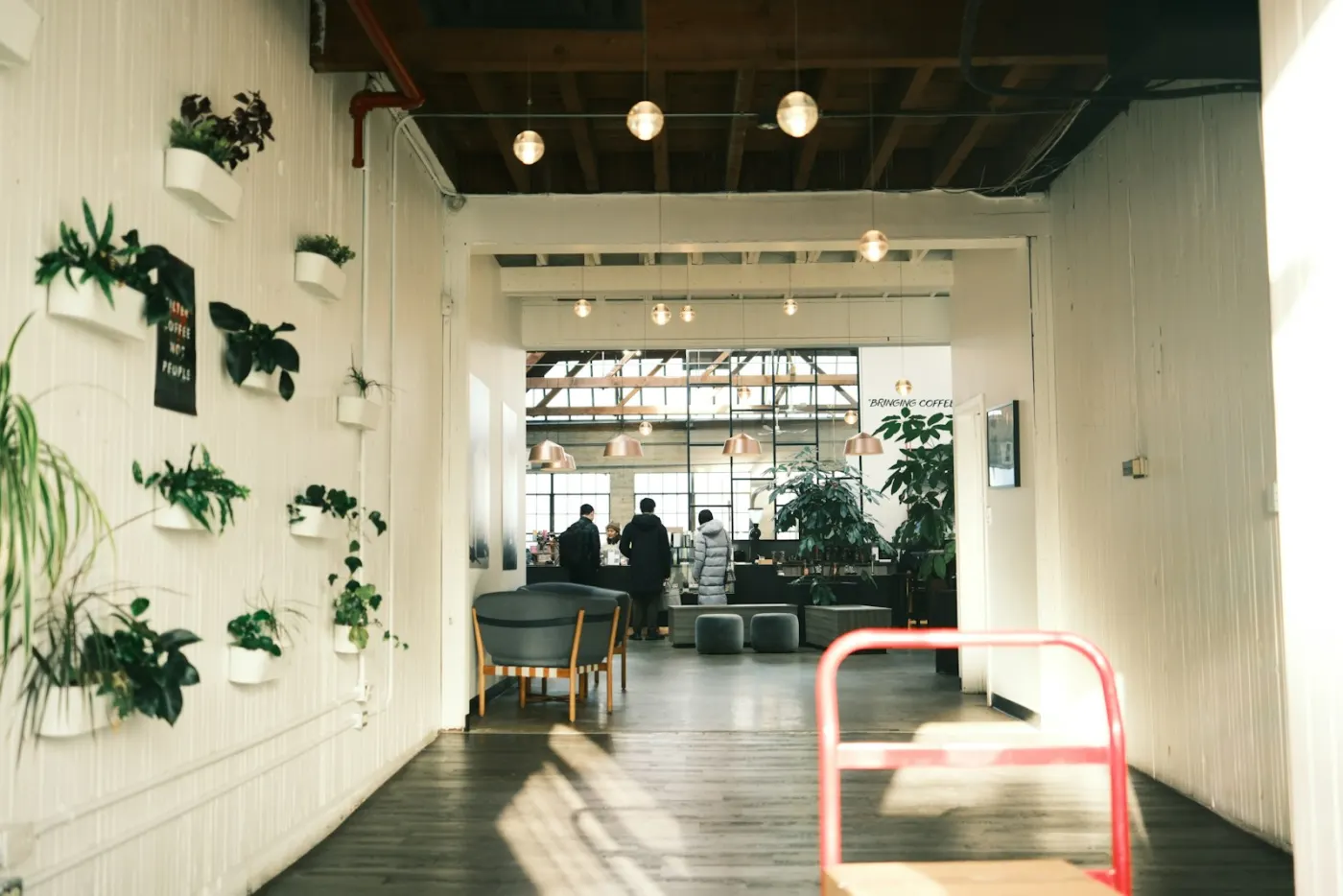 壁に鉢植えが並ぶ、明るいカフェの通路